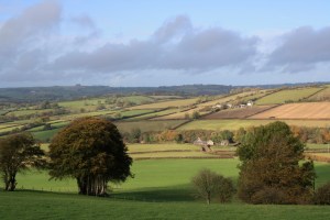 One of my favourite views.  The road as it drops down towards Ffynnon Oer.
