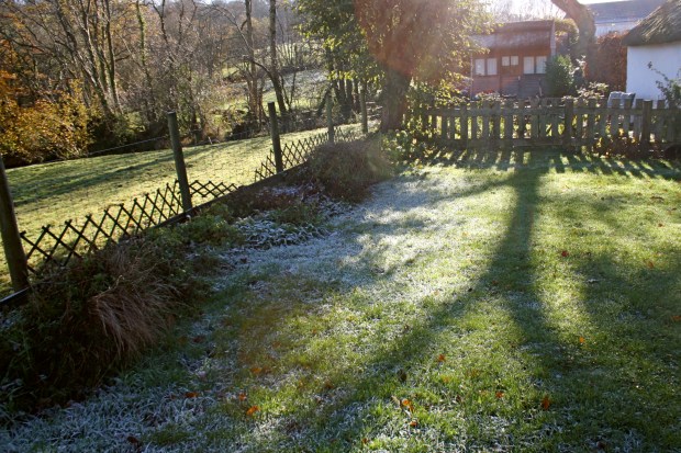 Frost on a November afternoon!