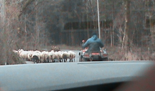 Typical traffic jam.