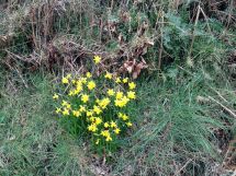 1wfaH05Cn17U4E2pKcoUed-08scQVzwa9PCZSxHFABI,_Jb-rzH3_2g-DGOhYGHSKvKKnRuAbcPePSrnCOvpQNc