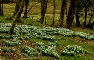 EXOaWNTMMuJUwlxrl798PDeJb1GGPQLqk2wHQ9m4POY